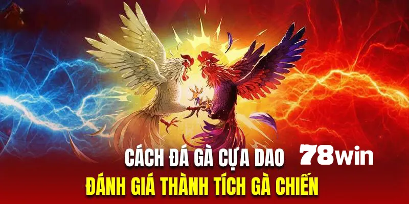Cách Đá Gà Cựa Dao - Hướng Dẫn Quy Luật Chính Xác Nhất 6 Đánh giá thành tích là chiến thuật chơi đá gà cựa dao hiệu quả