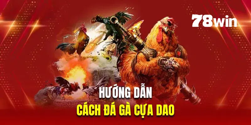 Cách Đá Gà Cựa Dao - Hướng Dẫn Quy Luật Chính Xác Nhất 5 Hướng dẫn người mới cách đá gà cựa dao tại 78win